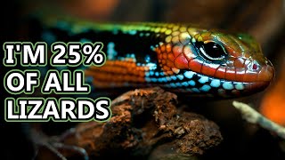 Skink facts Diverse Lizards  Animal Fact Files [upl. by Imij]