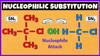 Nucleophilic Substitution Reactions  SN1 Reaction and SN2 Reaction [upl. by Eyoj603]