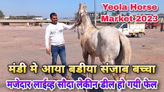 मंडी मे आया संजाब बच्चा और खरीददार ने किया सौदा लेकीन बात नही बनी।।Yeola Horse Market [upl. by Benge]