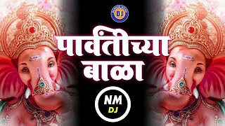 पार्वतीच्या बाळा  Parvatichya Bala  Ganpati Dj Song 2021  Ganesha Dj Song Marathi  गणपतीची गाणी [upl. by Danika]