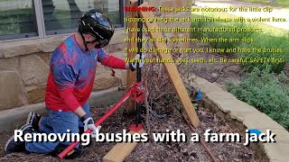 Removing bushes with a farm jack [upl. by Bracci]