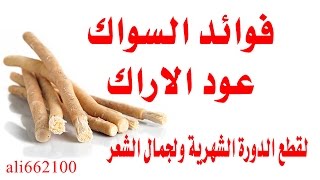 فوائد السواك عود الاراك  Salvadora persica  Miswak stick [upl. by Rosemarie]