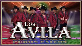 LOS AVILA MIX 2024 EN VIVO musica nortenas baile [upl. by Elianora170]