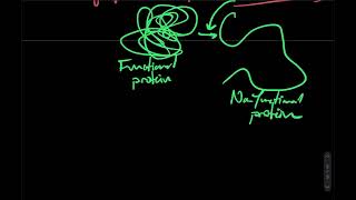 Buffer System  BicarbonateCarbonic Acid Buffer System [upl. by Euqinorev]