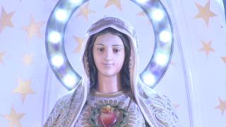 Vimalagiri Immaculate Heart of Mary Cathedral Kottayam 2018 [upl. by Waverley996]