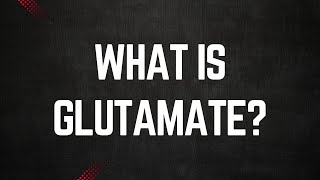 What is Glutamate [upl. by Meelas]