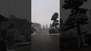 TOYAMA 雪 SNOW 降雪 積雪 五福八区 交差点 歩道橋 富山大学 富山県五福公園 県営富山野球場 富山県道44号 富山高岡線 旧8号 富山市 drive ドライブ 橋 2024年3月 [upl. by Erodavlas]