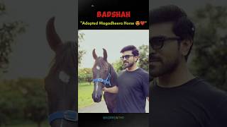 Ram Charan Adopted Horse 😍❤️ [upl. by Eirroc369]