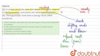 A In certain plants the stem that twins around the support is hard and woody such plants are [upl. by Ahsirpac]