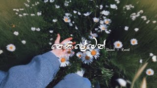 Noki Premen  Slowed  Reverb  Lyrics  නොකි ප්‍රේමෙන්   ‎‎devamusick  SachinBeatsOfficial [upl. by Milson]