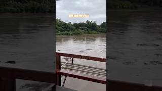 GUANACASTE UNDER WATER Tempisque River Floods Its Banks costarica floods [upl. by Sasnak]