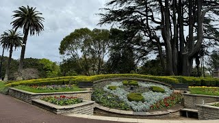 Live from Albert Park Auckland🇳🇿New Zealand [upl. by Sehguh18]