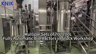 Multiple Sets of 70L 700L Fully Automatic Bioreactors in Stock Workshop bioreactor fermenter [upl. by Chilson]