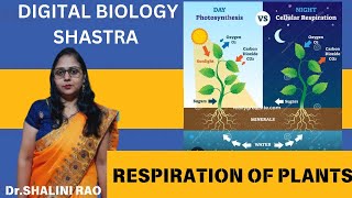 Respiration In Plants II Std11Th amp 12Th II Biology II Dr Shalini Rao II Digital Biology Shastra [upl. by Emoraj634]