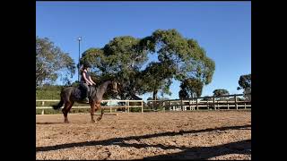 7 months ago already 🥲 dressage horse pony dressagepony horseriding [upl. by Ymmas]