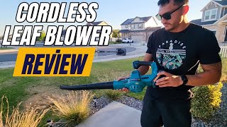 Cordless Leaf Blower Review 🍃  2x20V Battery 2 Speed Levels for Lawn Care amp Snow Blowing [upl. by Sevein]