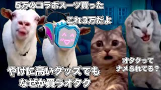 搾取されるラブライバー【猫ミーム】 猫マニ 猫ミーム [upl. by Gui965]