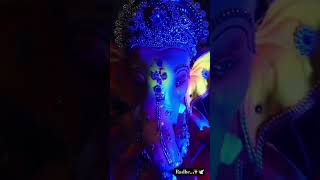 Humare ghar ke bappa✨😍ganpati ganeshchaturthi viralvideo viralshorts sorts sortvideo ✨🕊️ [upl. by Apple]