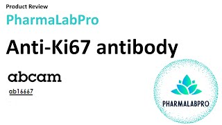 Discover Abcams product Recombinant AntiKi67 antibody ab16667 [upl. by Saixela225]