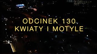 Dobranocka 130 Kwiaty i motyle [upl. by Nyrtak]