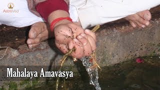 Mahalaya Amavasya 2020  Mahalaya Paksha [upl. by Roede]