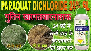 Putin herbicide  Paraquat dichloride 24 SL  bestagro Putin खरपतवारनाशक सम्पूर्ण जानकारी [upl. by Ybreh]