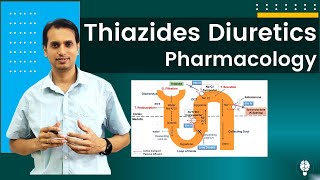 Diuretic Drugs Pharmacology Part 2  Pharmacology of Thiazides Diuretics  Thiazides Diuretics [upl. by Yelknirb]