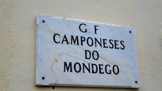 Grupo Folclórico CAMPONESES DO MONDEGO  quotCarvoeirasquot [upl. by Airahs977]