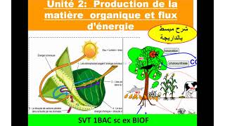 2 BAC BIOF UNITÉ 1 ATP PARTIE 4 La formation d’acétylCOA et le cycle de krebs [upl. by Agem]