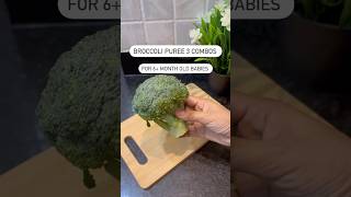 PUREE FOR 6 Months old baby Broccoli puree combos puree babyfood broccoli shorts [upl. by Isiad]