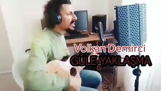 Volkan Demirci  Güle Yaklaşma 2024 Albümü Aküstik Çalışması Klibi [upl. by Maidy340]