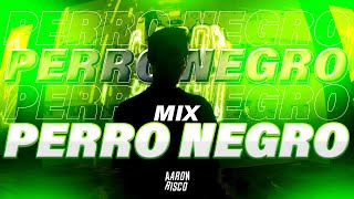 MIX PERRO NEGRO  TOP 2023 FERXXO Bad Bunny Karol G Quevedo Bad Gyal etc [upl. by Niltyak]