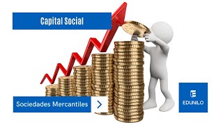 Capital Social de una Sociedad Mercantil [upl. by Rebane]