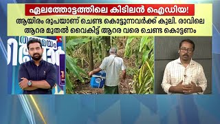 മ്യൂസിക് വിത്ത് അഗ്രിക്കള്‍ച്ചര്‍ തത്തകളെ ഓടിക്കാന്‍ ഏലത്തോട്ടത്തിലെ വെറൈറ്റി ഐഡിയ  Idukki [upl. by Pincas588]