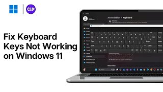 How To Fix Keyboard Keys Not Working On Windows 11 [upl. by Naeerb]