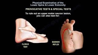 Physical Exam of the Lower Spine amp Lower Extremity Everything You Need To Know  Dr Nabil Ebraheim [upl. by Ariaic445]