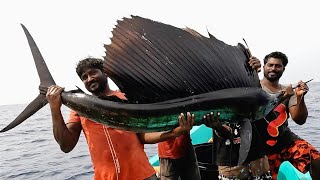 Catching Sail Fish King Fish amp Mahi Mahi Fish in the Deep Sea [upl. by Nostrebor]