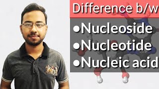 Nucleosides nucleotides and nucleic acids in hindi  biomolecules nucleic acids  DNA [upl. by Vivien206]