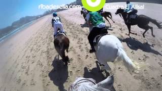 Carrera de Caballos Ribadesella GoPro ribadesellacom [upl. by Lrac]