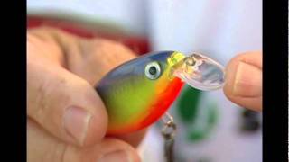 Rapala® XRap® Shad Shallow [upl. by Frear211]