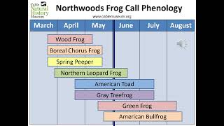 Northwoods Frog Call Phenology [upl. by Torp]