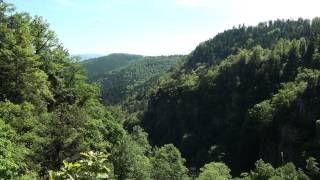 Sur les traces des géants du Nideck [upl. by Dusen]