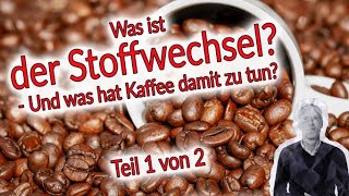 Der Stoffwechsel im Fokus  Teil 1  Wirkung von Kaffee auf den Stoffwechsel [upl. by Nicki]