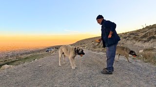 DOĞADAKİ AĞAÇLARA ŞEKİL VEREN ADAMIN DOĞAL YAŞAMI [upl. by Aden]