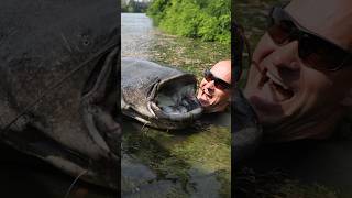 🎣🔥Unbeatable Tips Catching Trophy Catfish with Live Bait – Proven Methods fishing bigcatfish [upl. by Yldarb]