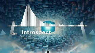 Introspect  Delicious [upl. by Arza]