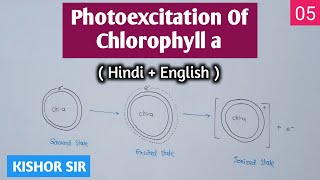 Photoexcitation of Chlorophyll a  Photosynthesis  Class 11  Bio  ZBC05  HinEng  Kishor Sir [upl. by Spiro]