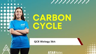 Carbon Cycle  QCE Biology 3amp4 [upl. by Carma]