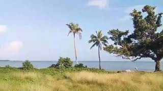 TongaThe sound of the volcanic eruptionexplosion of the Hunga TongaHunga Haapai undersea volcano [upl. by Nodaj]