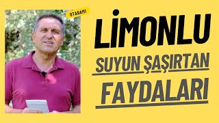 LİMONLU SU İÇMENİN FAYDALARI LİMONLU SUYUN FAYDALARI LİMONLU SU NASIL YAPILIR [upl. by Senzer]